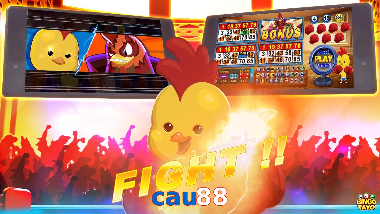 cau88